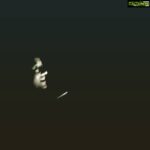 Ashish Vidyarthi Instagram - A song in the dark... Shona jhurri forest.. Bolpur