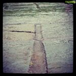 Ashish Vidyarthi Instagram - A wedge, edges towards the wet.