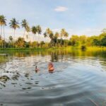 Ashish Vidyarthi Instagram - Unfiltered pond moments…Awesomeshwar😍 #awesomeness #awesomeshwar #kerala #keralagram #keralatourism #life #zindagi #love #instamorning #instadaily