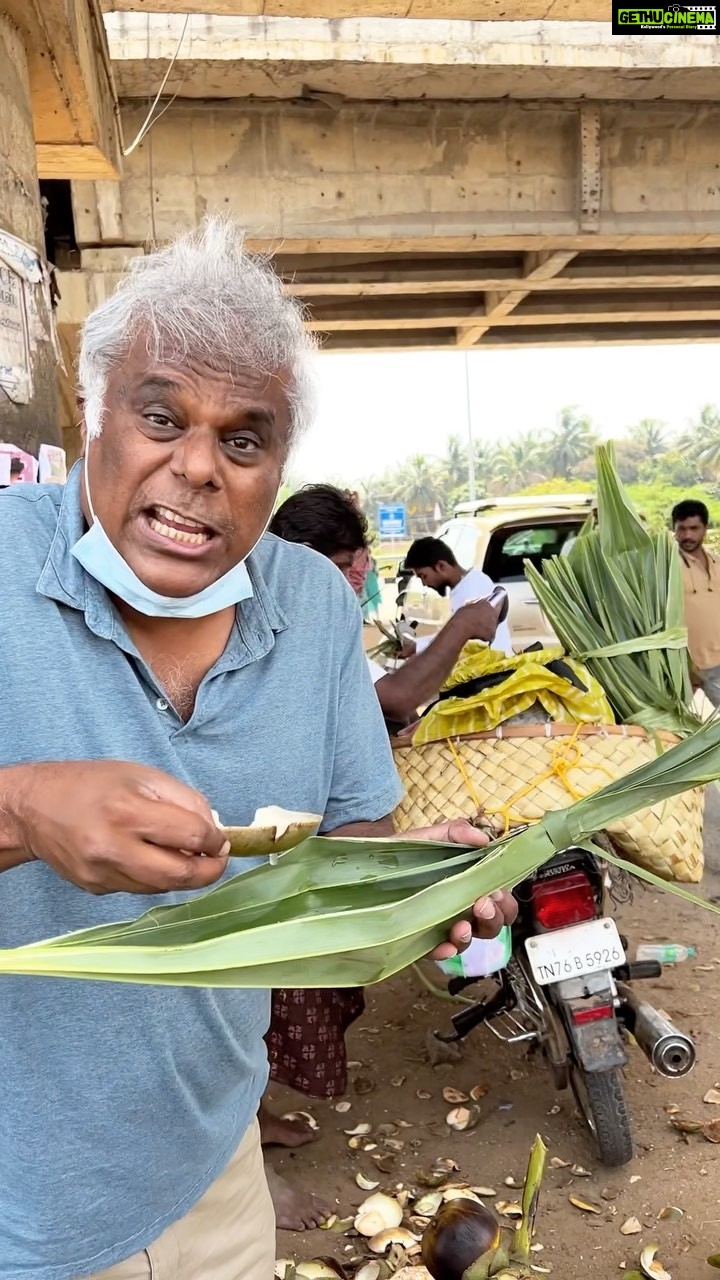 Ashish Vidyarthi Instagram - Ice Apple...Divine 😍 Creative, Innovative & Sustainable Way to Enjoy🤯 #kerala #keraladiaries #keraladiaries🌴 #keralagodsowncountry #incredibleindia #travel #food #street #local #people #iceapple #sweet #divine #love #reels #domorewithlife #reelkarofeelkaro #reelitfeelit #reelsinstagram #trending #viral #innovation #southindia #morning #pongal #sankranti Kerala - God's Own Country