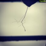 Ashish Vidyarthi Instagram - A loose thread from a curtain.. Seen after the rains. Mumbai, Maharashtra