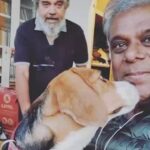Ashish Vidyarthi Instagram - It's not perfect... What is? Celebrating the Awesome Flawsome is life... What say you ? Alshukran Bandhu Alshukran Zindagi #ashishvidyarthi #avidminer #perfection #flawsome #lifelessons #motivationalvideos #positive #reflection #imperfectlyperfect #inspire #create #happyday #findinglove #be