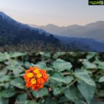 Ashish Vidyarthi Instagram - Filter free shades... Dharampur, India