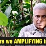 Ashish Vidyarthi Instagram - What are we amplifying in life my friends? Our complaints, the things that we are unhappy with or do we want to amplify the good, the great, something that makes us feel phenomenal? If you can amplify something that really inspires you. What is it? Do share your thoughts. #life #thinkbig #mondaymotivation #bephenomenal #avidminer #ashishvidyarthi Mumbai, Maharashtra