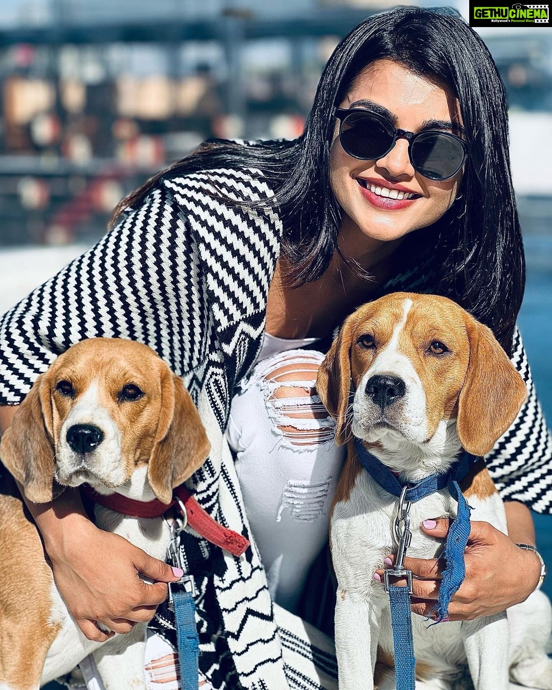 Ashna Zaveri Instagram - Noone was forced to take this picture 🐶 #puppylove #beagle Udaipur, Rajasthan