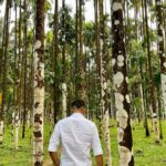 Ashrita Shetty Instagram – 100 shades of green. 🌴🍃 @manishpandeyinsta Mangalore, Karnataka