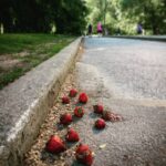 Ashwin Kakumanu Instagram - Flashback to walking through central park in New York and coming across these fallen strawberries. #newyork #centralpark #traveldiaries #strayberries