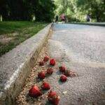 Ashwin Kakumanu Instagram – Flashback to walking through central park in New York and coming across these fallen strawberries. #newyork #centralpark #traveldiaries #strayberries