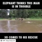 Ashwin Kakumanu Instagram - Man, if this doesn't warm up your heart, what will? #elephantsneverforget