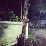 Ashwin Kakumanu Instagram – Go walking around the neighborhood and you see  this.. Yaarupa Indha heightku thookukaiyru maatirkaanga? @rrathindran spotted this first #spooky #neighborhood hangman