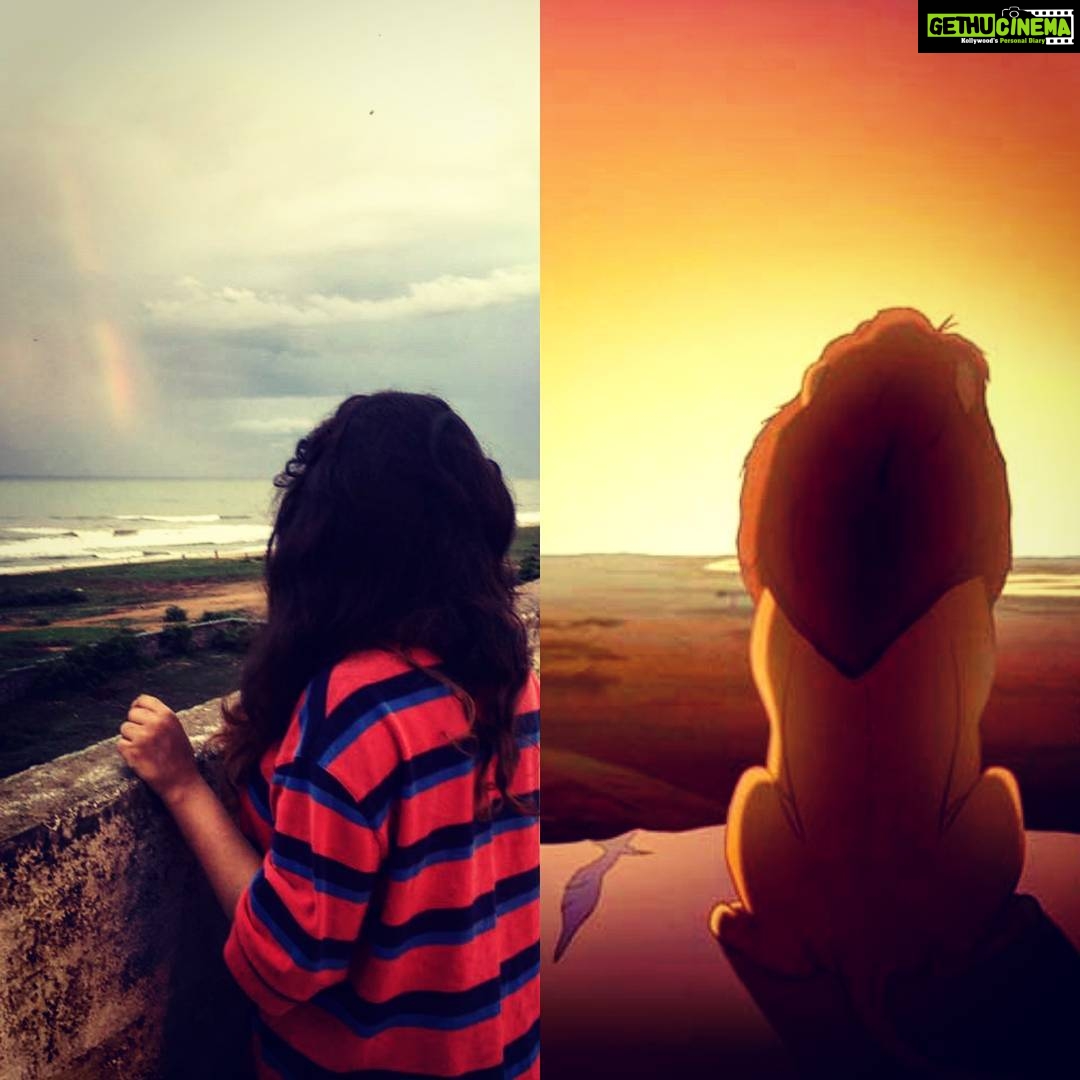 Ashwin Kakumanu Instagram - My own #simba looking at the #rainbow from the terrace. #priderock #sunsetsandrainbows @son_emk