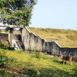 Ashwin Kakumanu Instagram - #parambikulamtigerreserve #dam #deer