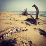 Ashwin Kakumanu Instagram - #Chennai #beach