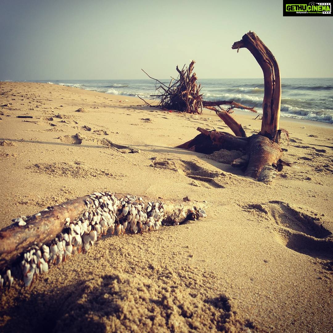 Ashwin Kakumanu Instagram - #Chennai #beach