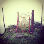 Ashwin Kakumanu Instagram - #coorg #mist #moss #isolation #peace
