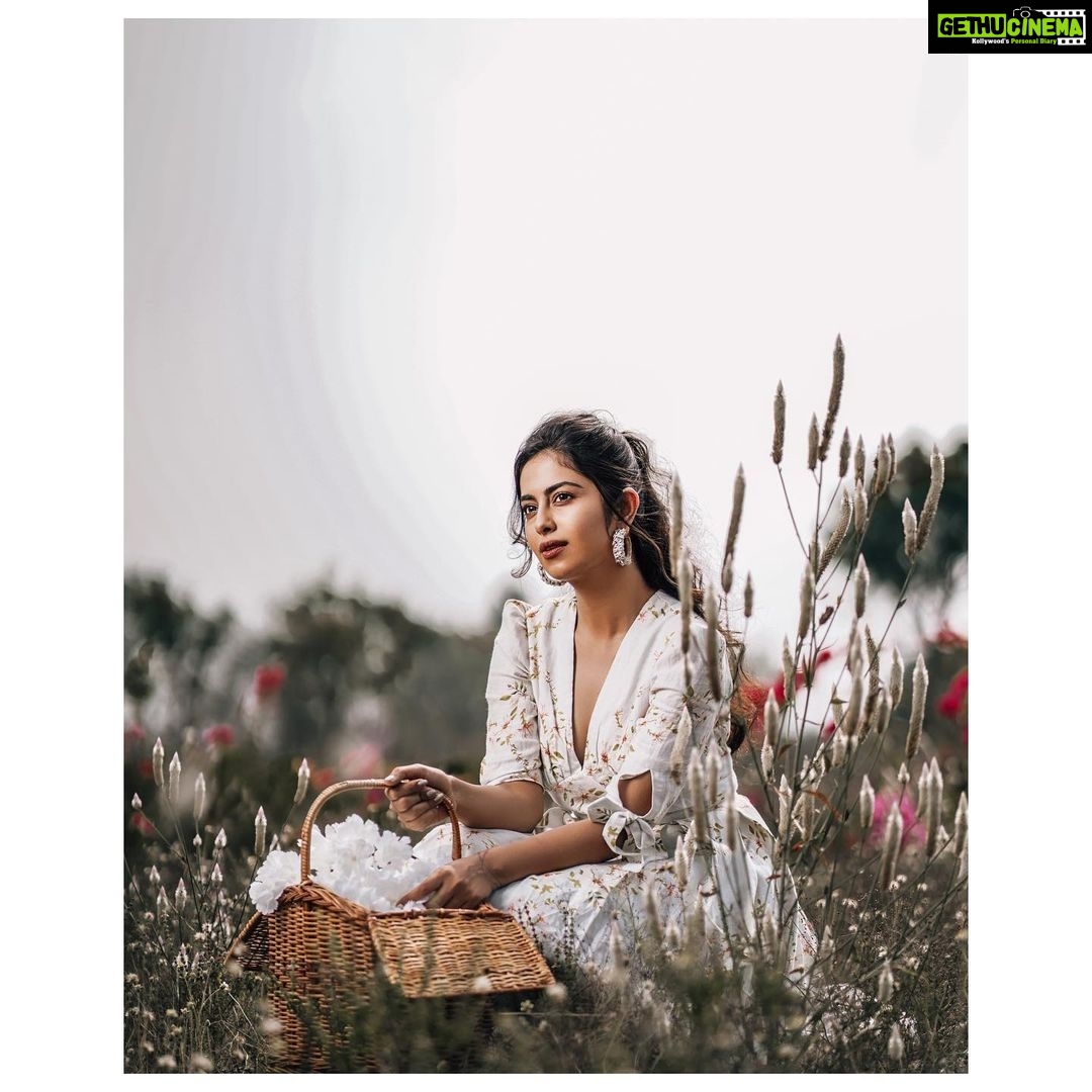 Avika Gor Instagram - “The Future belongs to those who believe in the beauty of their dreams” - Eleanor Roosevelt Styling: @manishamallikarjun Outfit: @ewoke.studio Jewellery: @havyajewels Mua: @purplesmakeupstudio Photographer: @screamstudiosbyharsha Location: @themayabazar Exclusively managed by @viniyardfilms @jubinrajeshdesai @ashviniyardi