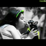 Avika Gor Instagram - #shiroo #SHIROO #mischiefclicks #mischiefphotography #photography #manishraisinghanclicks #best #moments #cute #adorable #kiss #happy #smile #happiest #cutestthingever #chihuahua #pet #kiss