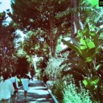 Banita Sandhu Instagram - disposable dump 📸 🌺🍹🍋🌴🐬🕺🏽 Marbella, Spain