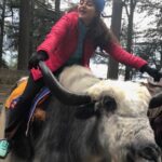 Bhama Instagram - #Manali Days 🤍🦢 #2019