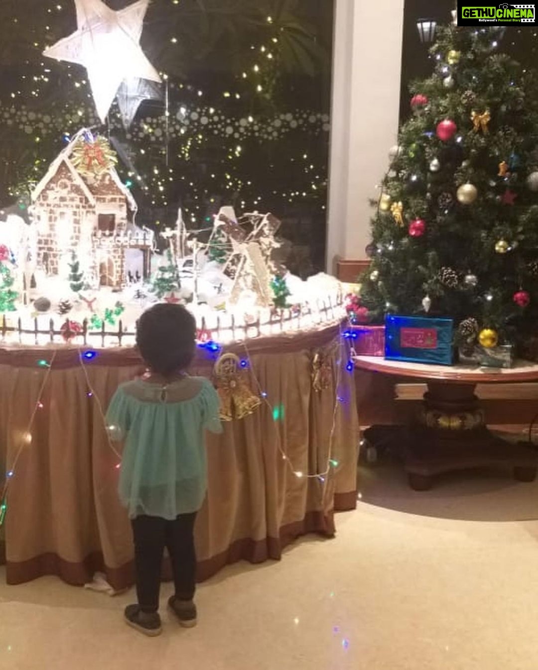 Bhama Instagram - 🧚♀️December #stay blessed Taj Malabar Resort & Spa, Cochin