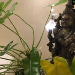 Bhama Instagram - Janmashtami wishes to all 🌿