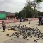 Bhama Instagram - Jaipur, Rajasthan