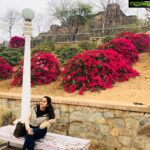 Bhama Instagram – ❄️ Jaipur, Rajasthan