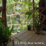 Bhama Instagram - #photography #s9 #nature quote 🍃 greenwood resort
