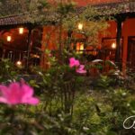 Bhama Instagram - 🍒Every flower is a soul blossoming in nature🍒 #pinkflowers#lights#photography #addiction#canon 5d