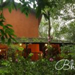 Bhama Instagram - "I walk,I look,I see,I Stop, I photograph"🍒 🍂eco friendly shelter 🍃Go green 🍂sand color #photography🍂light &Pink flowers