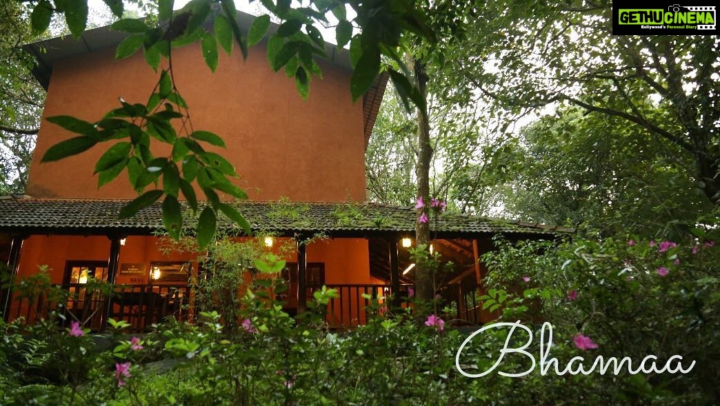 Bhama Instagram - "I walk,I look,I see,I Stop, I photograph"🍒 🍂eco friendly shelter 🍃Go green 🍂sand color #photography🍂light &Pink flowers