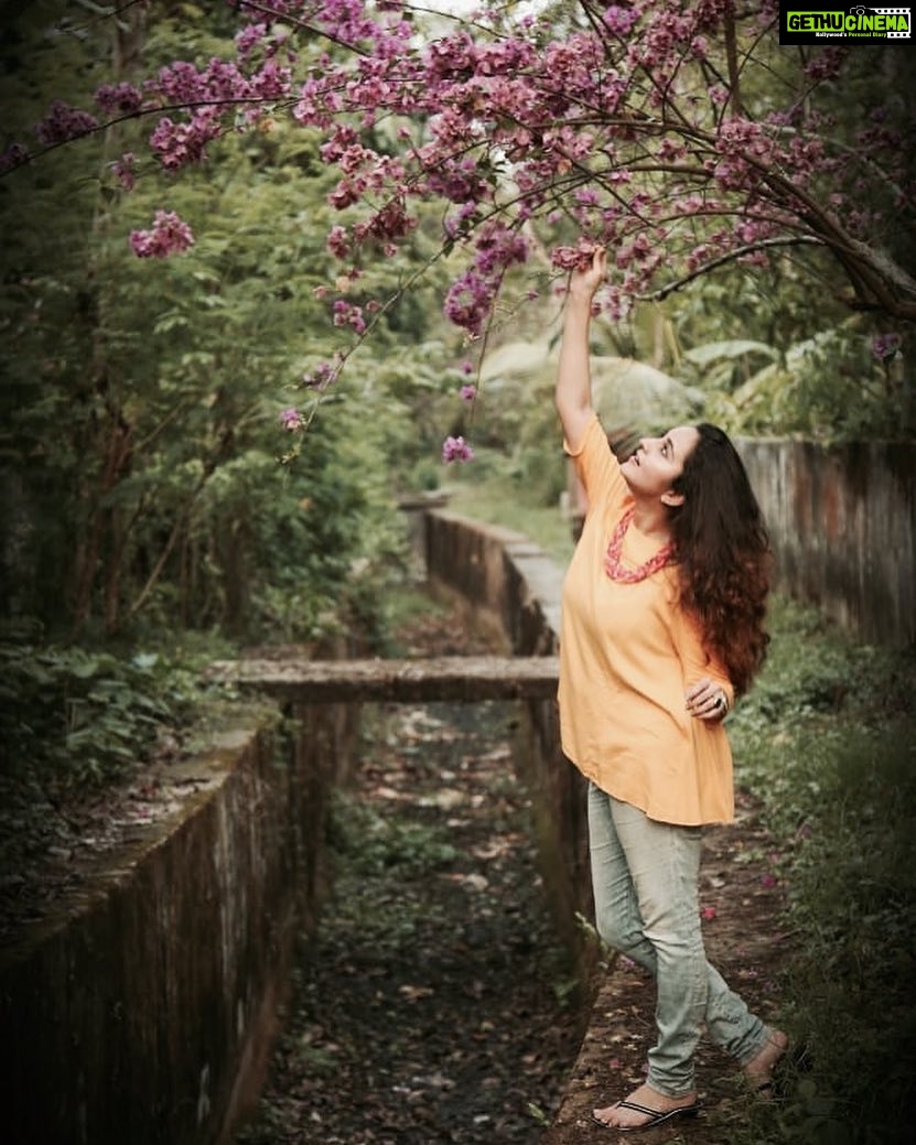 Bhama Instagram - നടന്ന പാതയിലൊക്കെയുമേ ഞാൻ കണ്ടു... കടലാസ്സുപൂവിന്നിതളുകൾ!!!🍂