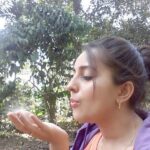 Bhama Instagram -