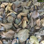 Bhama Instagram - #നാട്ടുവഴിയോരത്തോടെ Kottayam