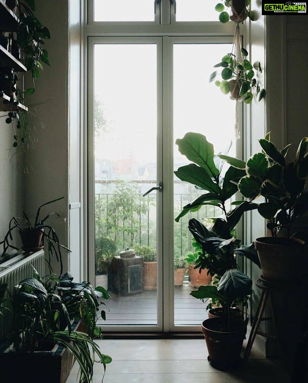 Bhama Instagram - "Happiness is watching the Rain from inside a warm house" #monsoon quote #insta pic #Happy monsoon guys☂☔️