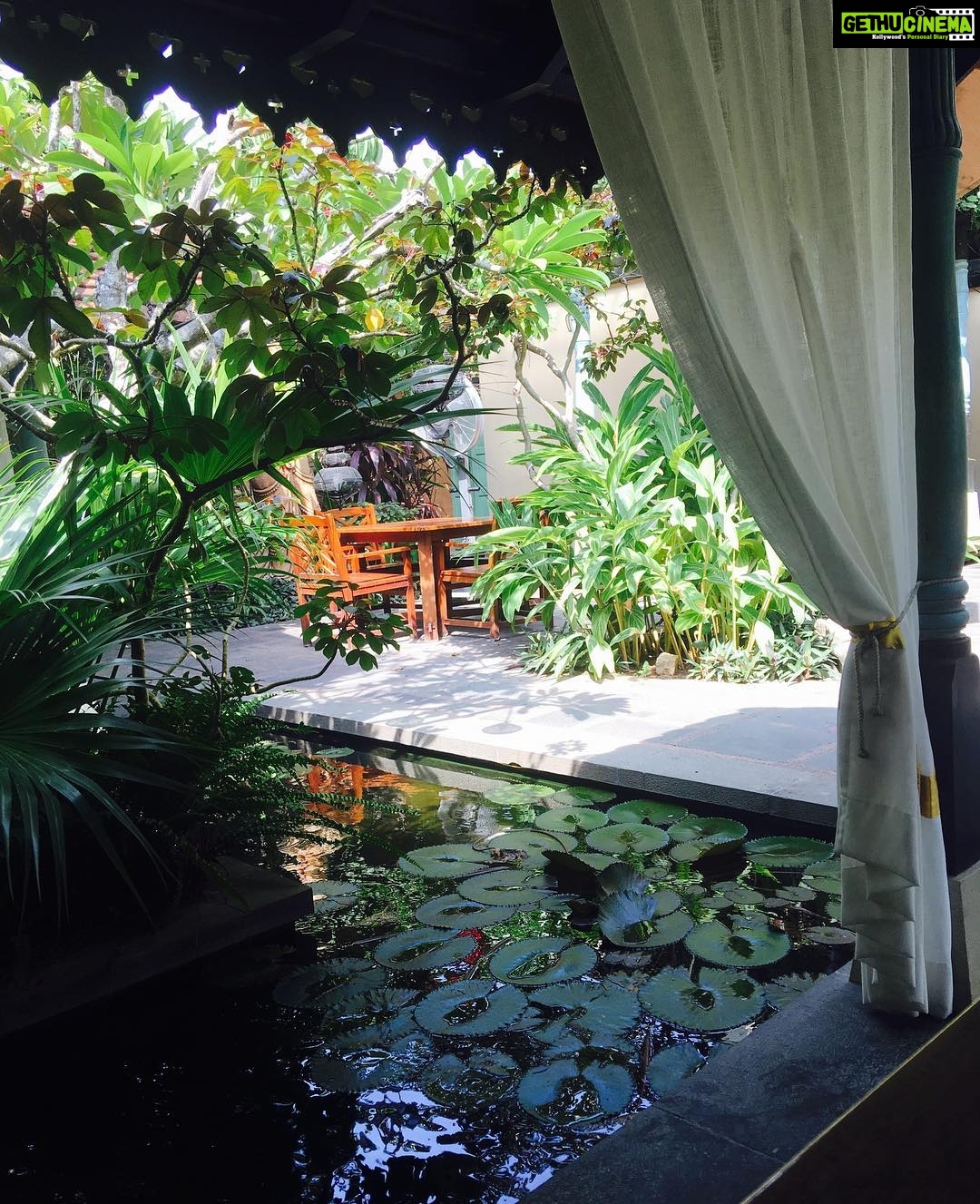 Bhama Instagram - To plant a garden is to believe in tomorrow 🌞🌿 #bliss #my click #catchy frame Villa Maya TVM