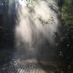 Bhama Instagram - Listen to the rhythm of the falling Rain 😀🤗 #my click ✍🏻 Rainforest ayur County