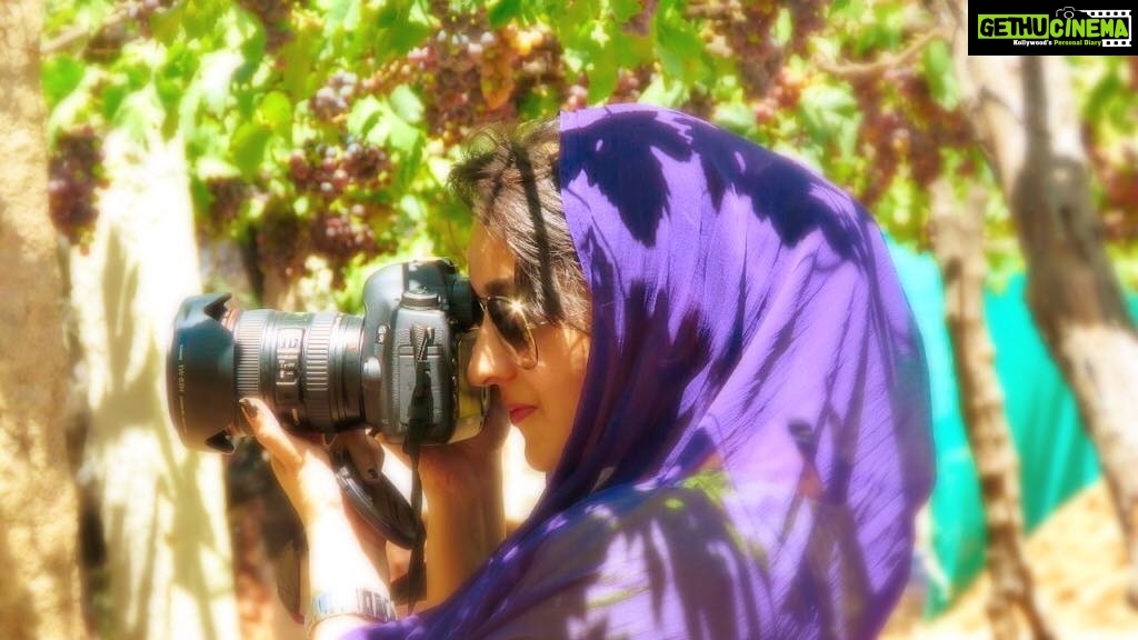Bhama Instagram - "Photography is about capturing Souls not Smiles" 🍇🍃photography #addicted #sparkling shades #Grapes #yard #green nd purple grape🌿🍂 Theni, India