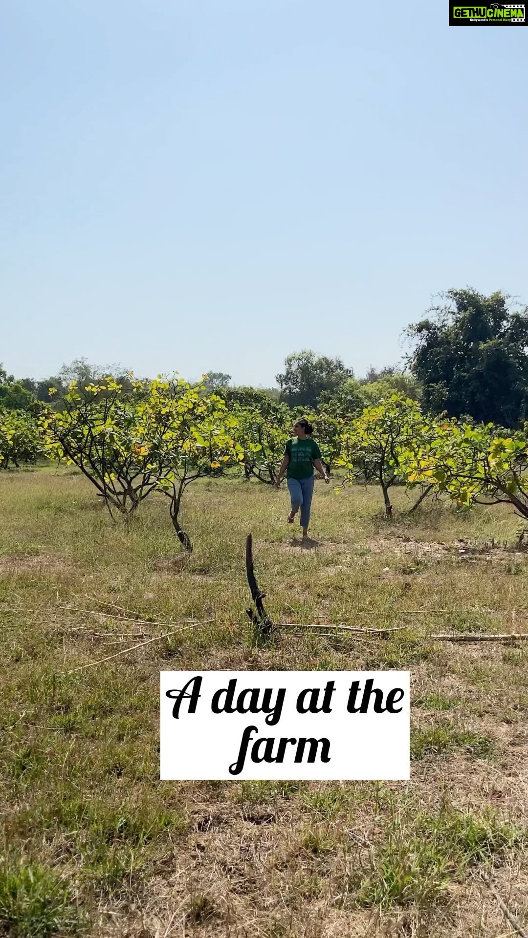 Bhanushree Mehra Instagram - Sharing snippets from my visit to a friend’s farmhouse. A day well spent with nature, away from the city’s hustle & noise. All you hear is the regular rhythm created by crickets, bugs & birds. So peaceful & relaxing ! @karanmanhas @parvativaze @ritstwobits #dearbella