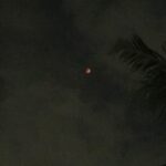 Bharath Instagram - Finally got a glimpse of her last night !! Lunar red moon !! #lunareclipse #moon