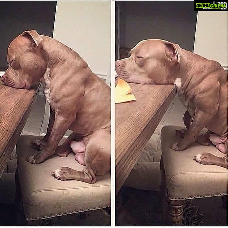 Bharath Instagram - Exhausted 💤 . Good night peeps 😴😴