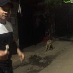Bharath Instagram - Last night street craziness !! Trying to feed him !! Dog lover😀#doglover #streetlife #sunday #happy Saligramam, Tamil Nadu, India
