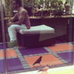 Bharath Instagram – Peaceful and  chilling with the birdie !!! 😎🐦.. #dubai dairies !!
