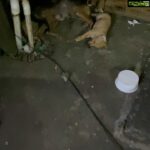 Bharath Instagram - I know this is a disturbing post but I just can’t hold it inside me as my heart feels heavy right now and every life counts .. I kindly request in general and also my fellow friends at smash bounce badminton academy Valasaravakkam to take utmost care when they park their cars with stray dogs and their pups around 🐶.. if not us who else will care for these poor souls . I’m shattered to see the mother’s pain and love for this dead pup 🐶😣. #loveforanimals #everylifecounts #animallovers #motherslove