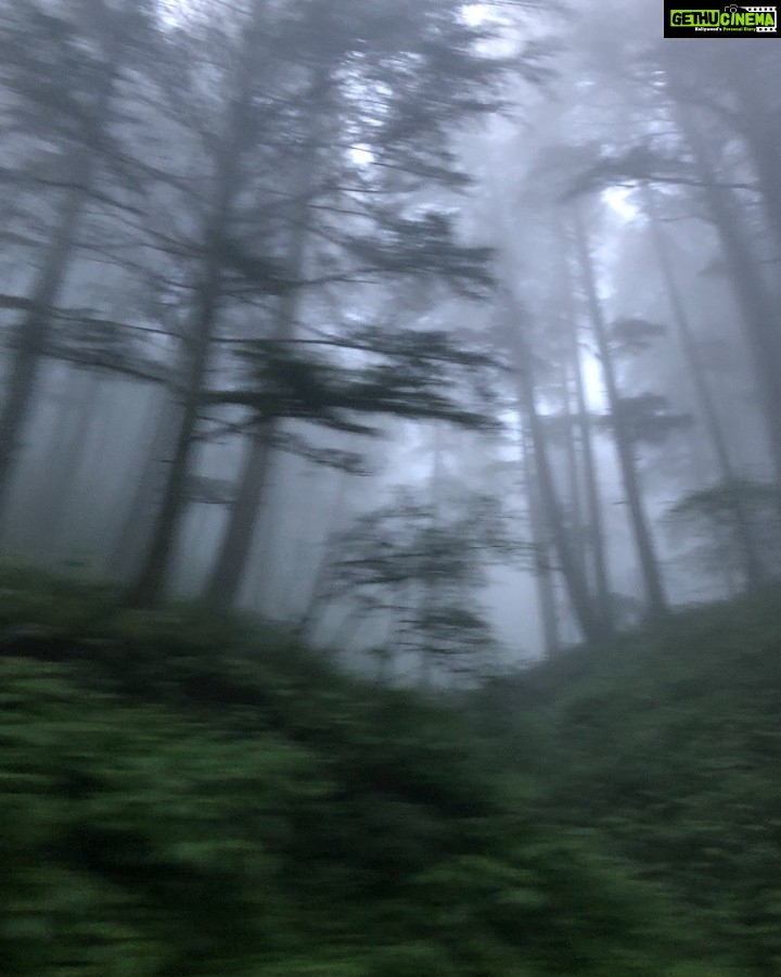 Bhumika Chawla Instagram - Dhund .... Fog ...as clear and hazy as it gets just in a span of few moments ...life is just like that ... clear and unclear ... such is the beautiful journey of life ... 🌸