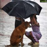 Bhumika Chawla Instagram - The Rain in Mumbai has been going on for the whole day ... At this given hour it’s pouring a lot .. I pray for those on streets and more important for the animals and stray dogs... May God keep them safe ... if we can feed them or take care of them briefly, pls do 🙏