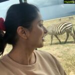 Bhumika Chawla Instagram - At the Ngorongoro Crater with The wild life ... Zebras , wilder beasts , Buffalos ... Thank you God for everything 🙏