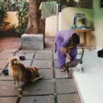 Bhumika Chawla Instagram - An open letter to My Mummy , Maa - Mom my star who is now looking after me from up there My mother a part of my soul # and me a part of her .. She left us on the 13 th of July .. went to other world ... she always said to God " never let me be served in old age on bed , let me be self dependent and go " ... Thats how she went - though unwell on and off .. when she was fine she was great ... when not she was in discomfort ... .. The way I remember her is as the most vivacious , pure , child like , simple , intelligent , kind soul in the world Never heard her say a word wrong about anyone . She could see through people yet ... Her love for animals showed how truly pure and kind she was .. Taking care of stray dogs and cats morning to night . Most spiritual , having done so much prayer in her life . Never interfered in anyones life .... . Most yummy food made only in Salt , Turmeric and little Red chilly powder .... There are people who cant cook without tons of spices .... I will miss the love you put in the food ... During my First film which was in Telugu , at one point I wanted to run away , and she said " you cant run away , finish what you have taken up dear Gudia and then maybe never work ... but never run away " ... Always so proud of me .. of all three of her children and proudly talking about all of us ... I MISS YOU MUMMY There will never be another day that i will be able to call you .. Am sorry for the times I hurt you ... For those moments i spent with you I feel blessed and have loving memories especially last few years ... And for those times I was not with you and travelling , lost in my own world , in work and at times wasting lifes precious moments worrying about silly things .. i am sorry .. How we think in life when we say " Mai kal phone karti hoon aapko , i will call you Tomorrow There will never be another tomorrow I love you ... AND I MISS YOU ❤