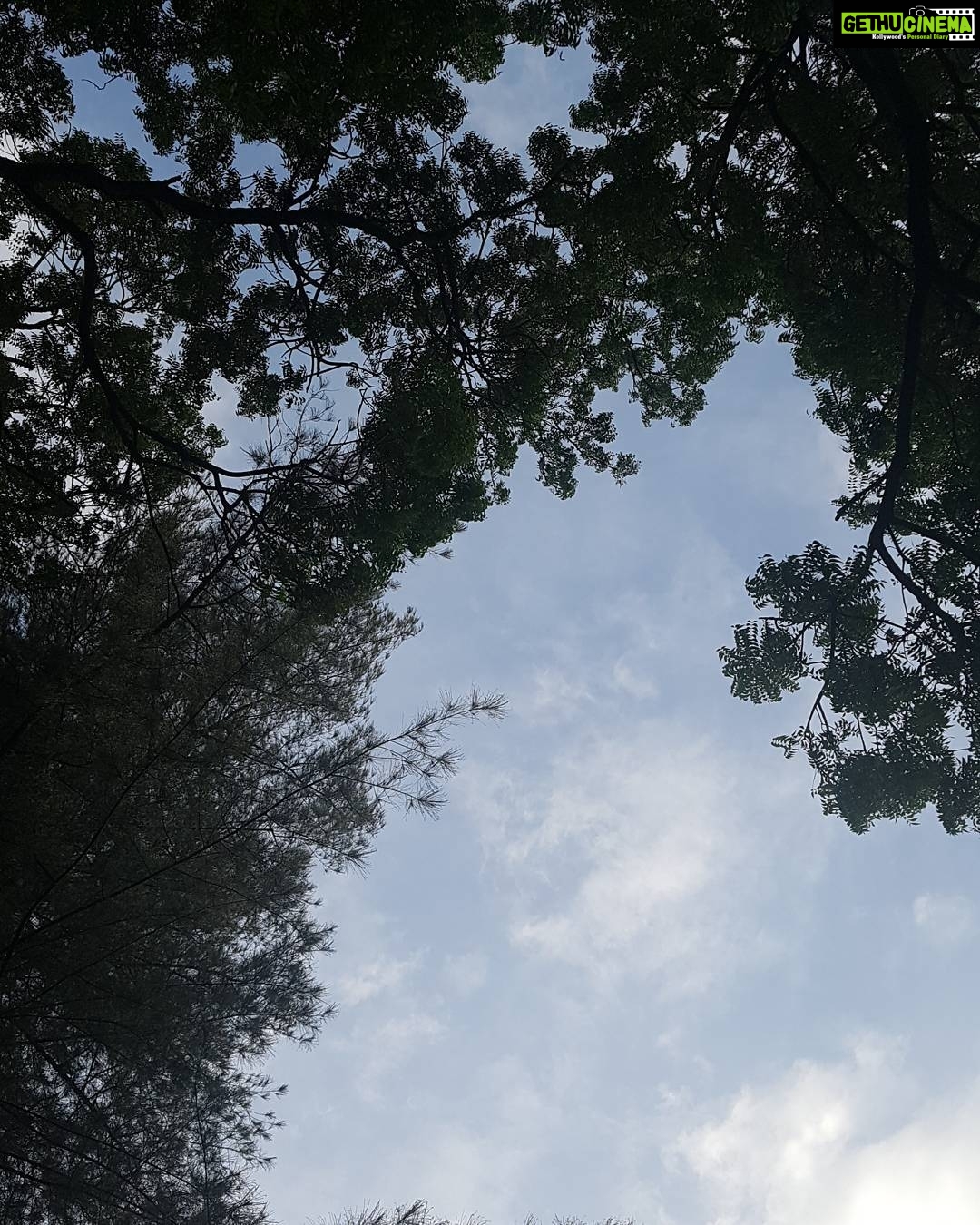 Bhumika Chawla Instagram - Trees Leaves Sky Clouds # nature