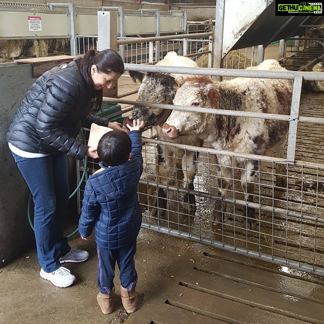Bhumika Chawla Instagram - countryside life #